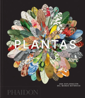 PLANTAS