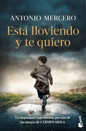 ESTÁ LLOVIENDO Y TE QUIERO