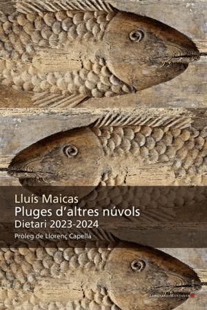 PLUGES D´ALTRES NUVOLS