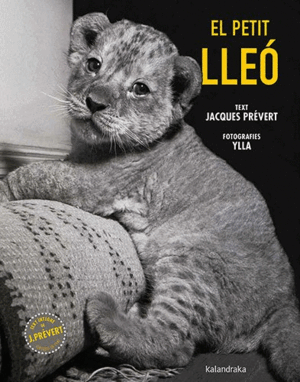 EL PETIT LLEÓ
