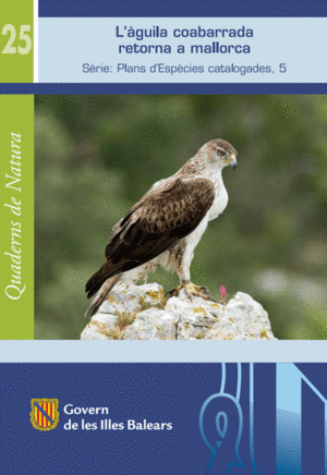 AGUILA COABARRADA A MALLORCA