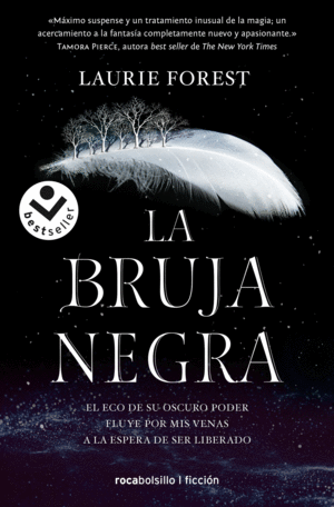 LA BRUJA NEGRA (LAS CRÓNICAS DE LA BRUJA NEGRA 1)