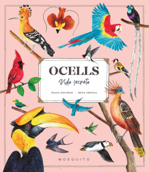 OCELLS. VIDA SECRETA