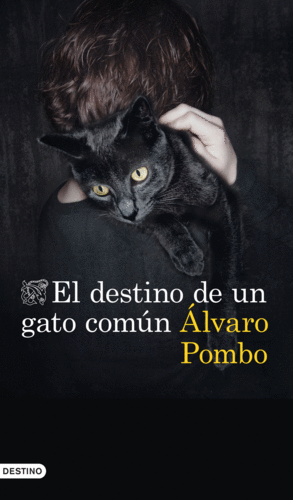 EL DESTINO DE UN GATO COMÚN