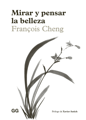 MIRAR Y PENSAR LA BELLEZA