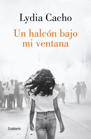 HALCON BAJO MI VENTANA, UN