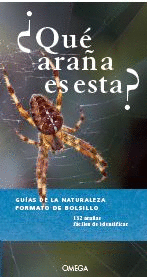 ¿QUE ARAÑA ES ESTA?