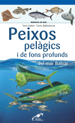 PEIXOS PELÀGICS I DE FONS PROFUNDS DEL MAR BALEAR