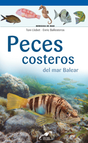 PECES COSTEROS DEL MAR BALEAR