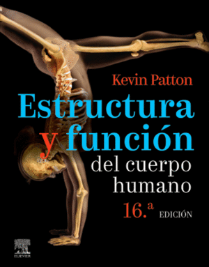 ESTRUCTURA Y FUNCIÓN DEL CUERPO HUMANO