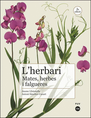 L'HERBARI: MATES, HERBES I FALGUERES (2ª ED.)