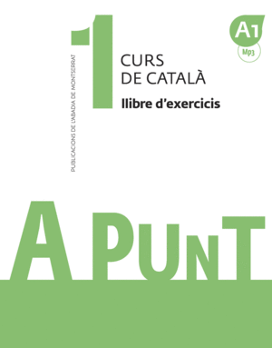 A PUNT 1 EXERCICIS A1