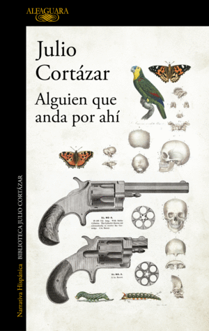 ALGUIEN QUE ANDA POR AHÍ
