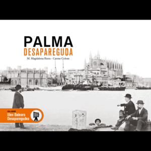 PALMA DESAPAREGUDA